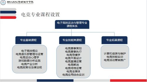 電子競(jìng)技運(yùn)動(dòng)與管理專業(yè)介紹 電子商務(wù)平臺(tái)開發(fā)及運(yùn)營(yíng)方向