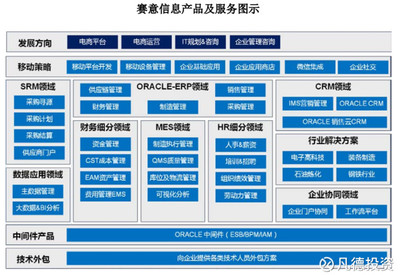 新股簡(jiǎn)析 賽意信息（300687）——電子商務(wù)平臺(tái)開發(fā)及運(yùn)營(yíng)的潛力股