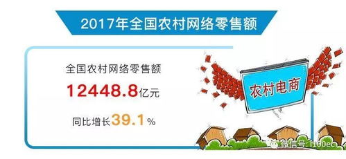 2017年全國農村電子商務運行報告 電商平臺開發與運營的機遇與挑戰